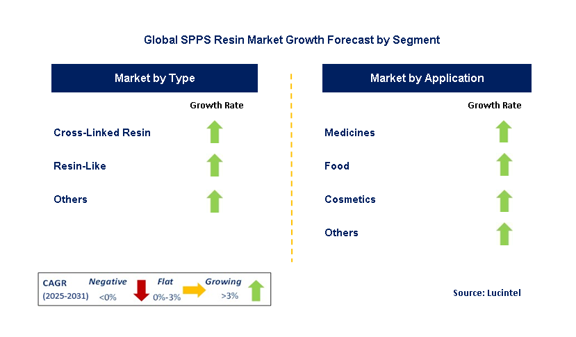 SPPS Resin Market by Segment